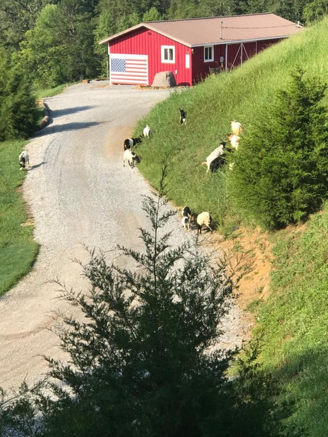 Smoky Hollow Outdoor Resort Covered Wagon Sevierville Εξωτερικό φωτογραφία